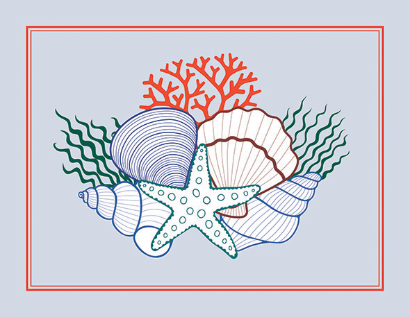 Carte postale représentant des coquillages.