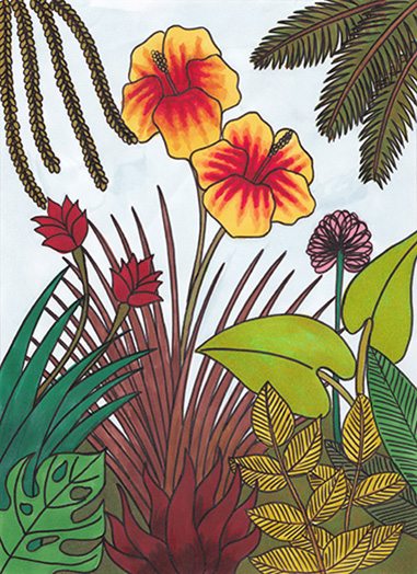 Illustration aux feutres, représentant des plantes tropicales.
