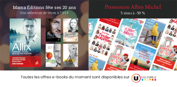 Encart publicitaire pour deux promotions ebooks.